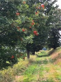 in de omgeving van Hildfeld