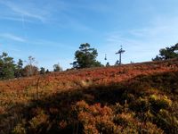 Hochheide bij Hildfeld